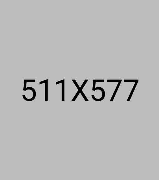 Best IT Soluations Provider Agency